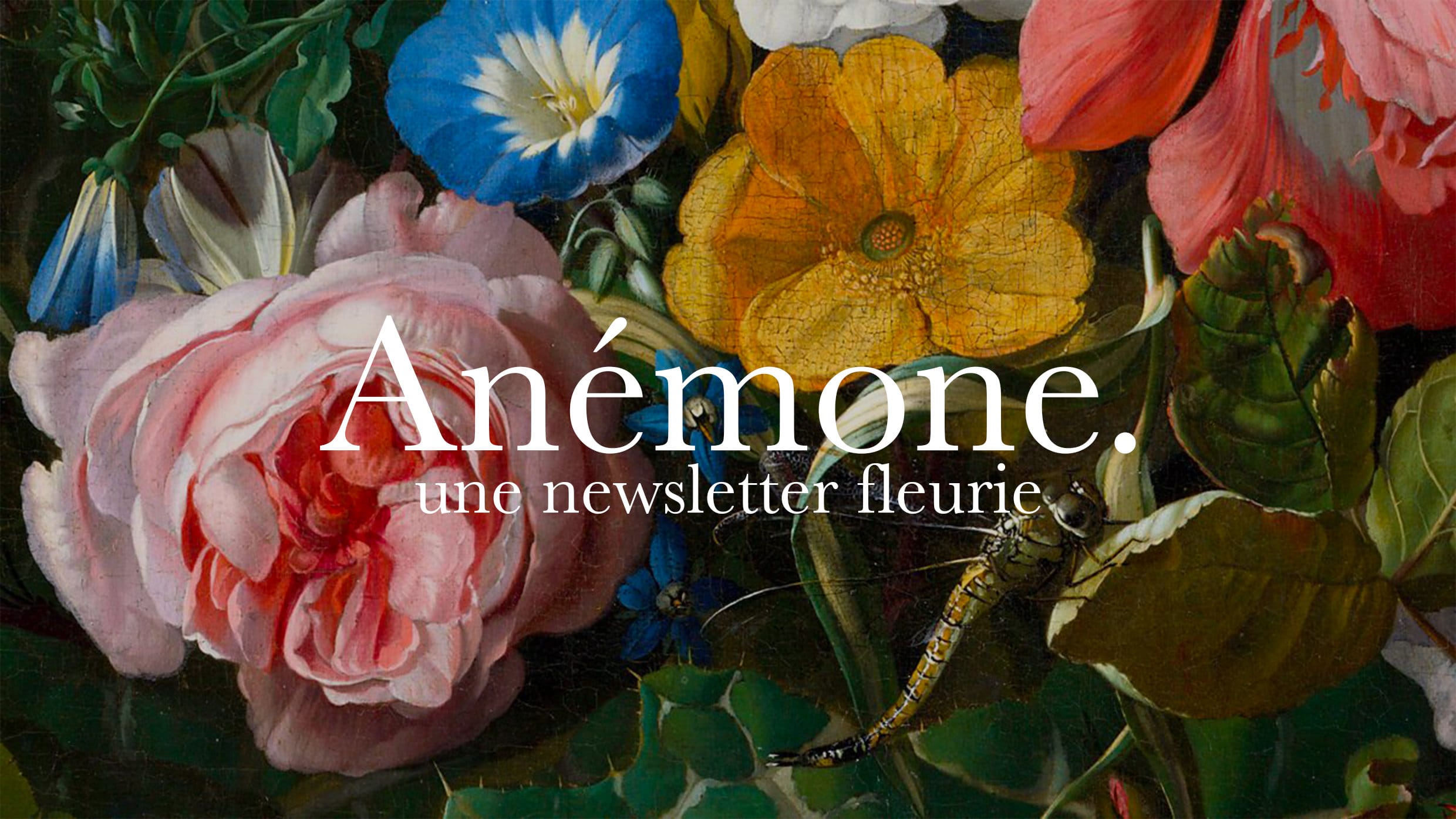 Anémone, une newsletter fleurie